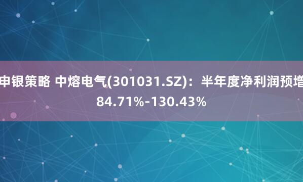 申银策略 中熔电气(301031.SZ)：半年度净利润预增84.71%-130.43%