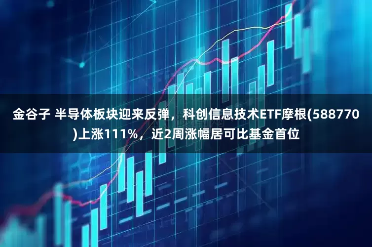 金谷子 半导体板块迎来反弹，科创信息技术ETF摩根(588770)上涨111%，近2周涨幅居可比基金首位