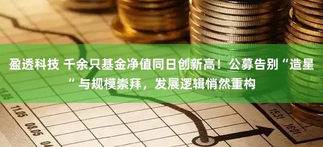 盈透科技 千余只基金净值同日创新高！公募告别“造星”与规模崇拜，发展逻辑悄然重构
